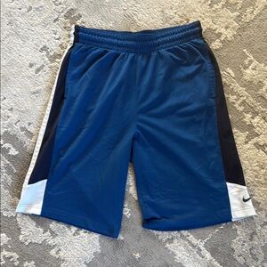 Nike Blue and White Dri-Fit Athletic Shorts Lightweight